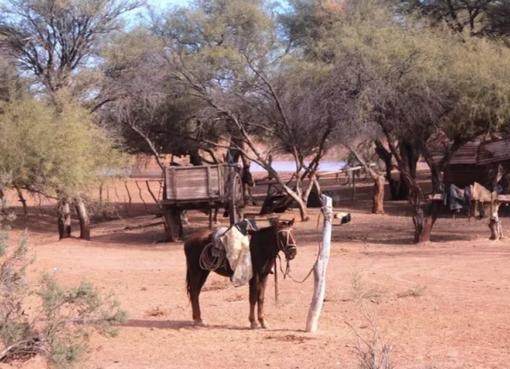 Una escuelita de una zona remota de 25 de Mayo organiza una colecta para reunir agua potable