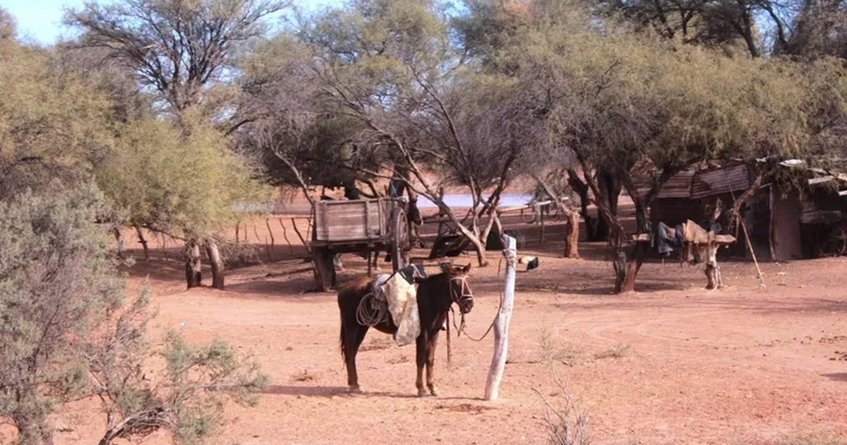 Una escuelita de una zona remota de 25 de Mayo organiza una colecta para reunir agua potable