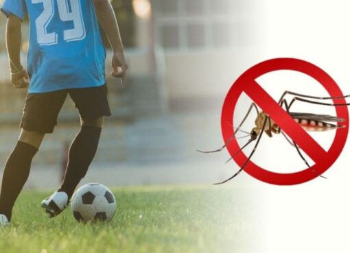 Dengue: una a una, las recomendaciones sanitarias para los deportistas sanjuaninas y sus instituciones
