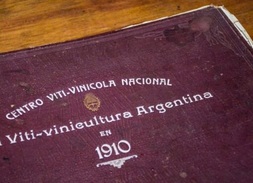 La increíble historia del libro con valiosa información de San Juan rescatado de la basura