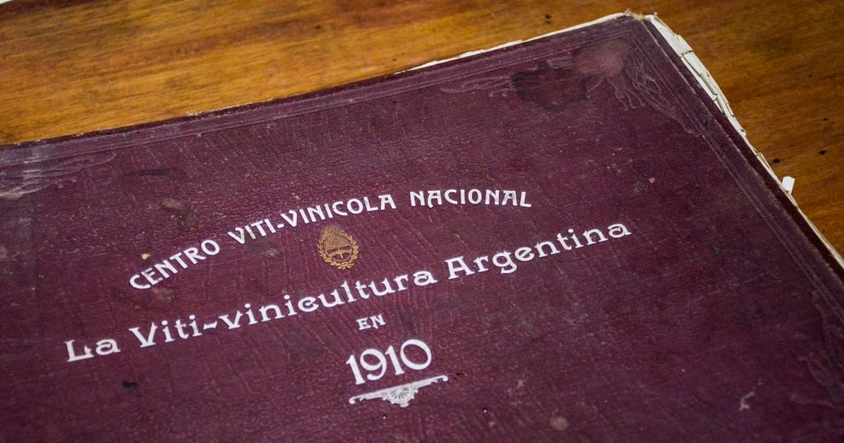 La increíble historia del libro con valiosa información de San Juan rescatado de la basura