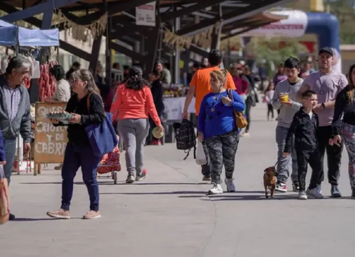 Cambio Verde, la propuesta que llega a la Feria Agroproductiva que combina reciclaje con economía