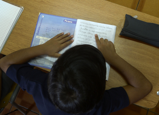 Salen a recorrer escuelas sanjuaninas para analizar si los alumnos saben leer