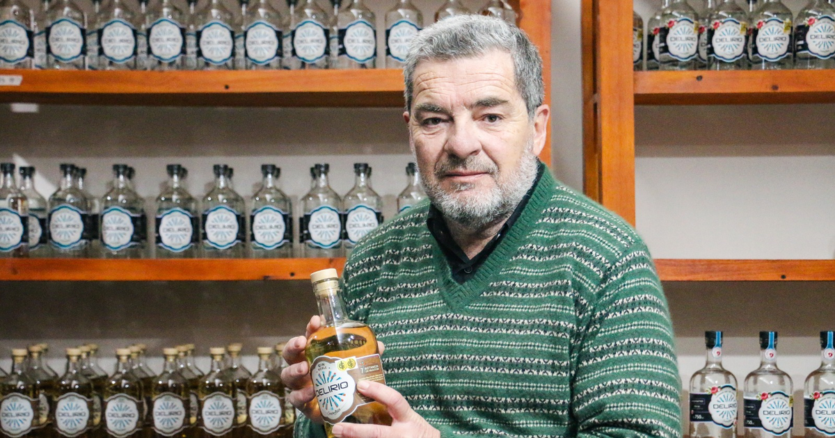 Paso a paso, ¿cómo se hace el gin sanjuanino y familiar multipremiado en el mundo?