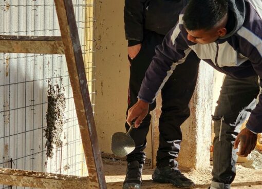 Unos 15 reos del Penal de Chimbas se capacitaron en albañilería y construción