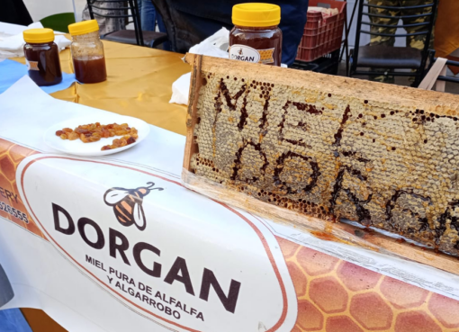 Los consejos de apicultores sanjuaninos para que comprar miel no sea una experiencia amarga