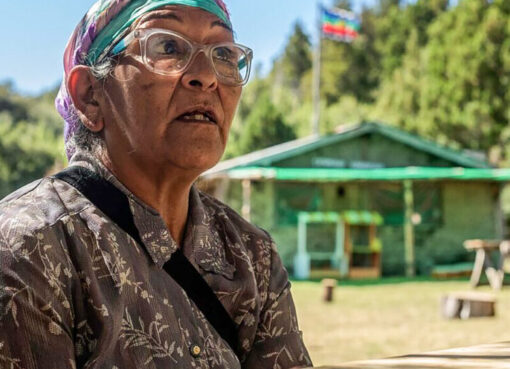 “El avance no es de nosotros sobre el Ejército sino al revés” | Entrevista con Marta Ranquehue, werken de la comunidad mapuche Millalonco Ranquehue de Río Negro