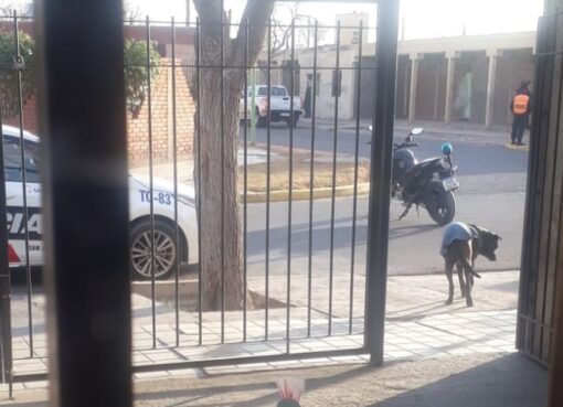 Tras el reclamo vecinal y la nota de Tiempo, desalojaron el centro comercial abandonado del barrio Aramburu