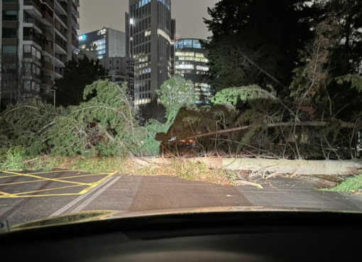 El viento Zonda que se sintió en San Juan generó un temporal terrible en Chile: “Escote mortal” o “del Demonio”