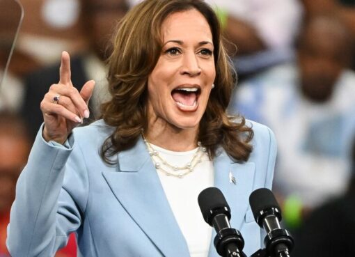 EE.UU: Kamala Harris entrevistó a sus posibles candidatos a la vicepresidencia | La candidata demócrata busca compañero para enfrentar a Trump en las presidenciales