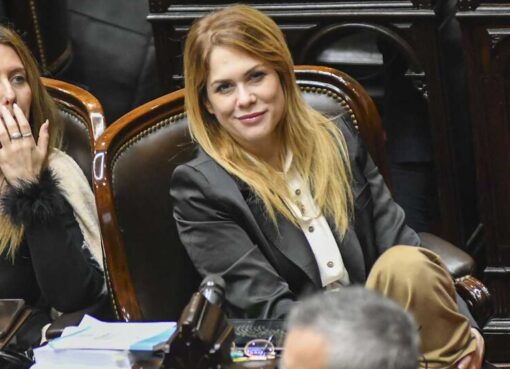 Para Marcela Pagano, Lilia Lemoine es una “burra mitómana” | Interna libertaria