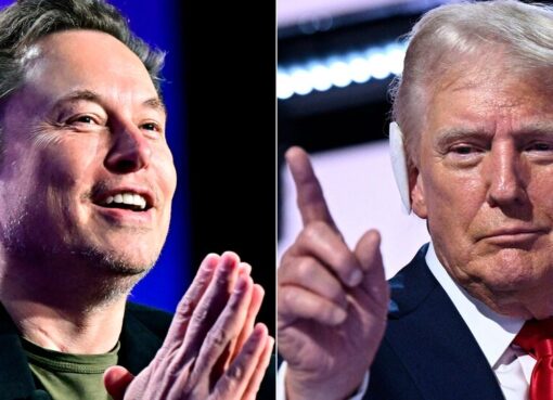 Donald Trump regresó a Twitter, poco antes de su entrevista con Elon Musk | Por si hacían falta propagadores de fake news