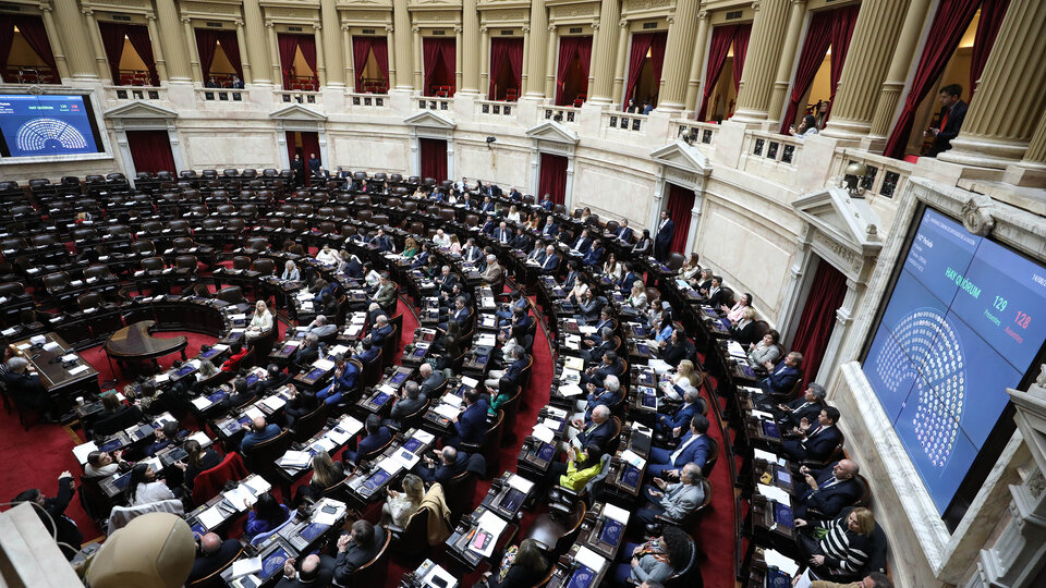 La Casa Rosada repartió triunfos y derrotas en la maratónica sesión de Diputados | Medias sanciones para proyectos propuestos por oficialistas y opositores 