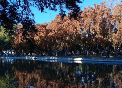 ¿En casa o al parque?: así estará el tiempo este domingo para celebrar el Día de las Infancias