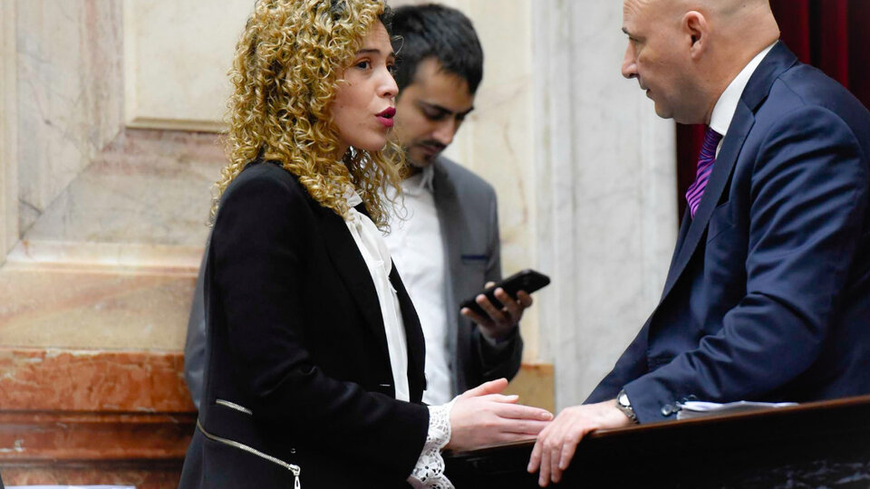 La Casa Rosada evalúa la expulsión de Lourdes Arrieta y Francisco Paoltroni de los bloques libertarios | El conflicto interno sangra en el Congreso de la Nación