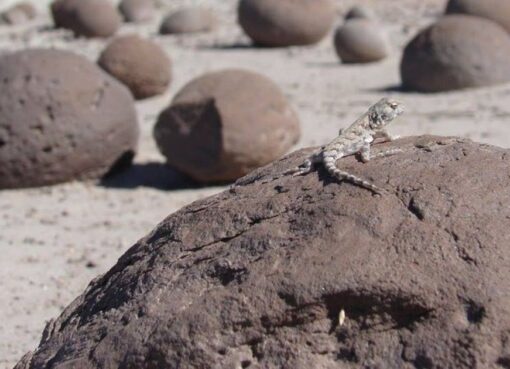 Ischigualasto fue elegido como uno de los Segundos 100 Sitios de Patrimonio Geológico