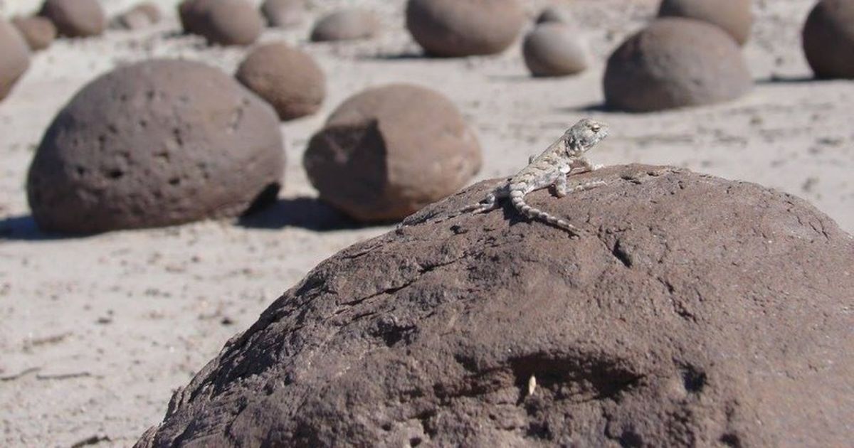 Ischigualasto fue elegido como uno de los Segundos 100 Sitios de Patrimonio Geológico