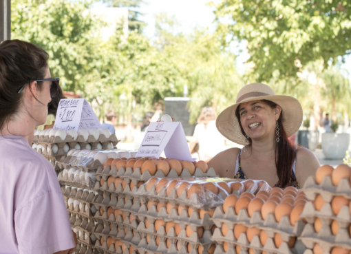 Se viene una nueva Feria Agroproductiva en San Juan, esta vez, de aniversario