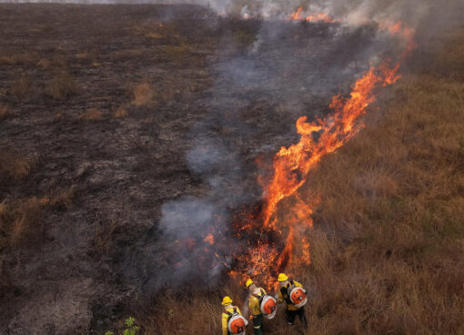 Brasil: según Lula los incendios forestales son intencionales | El presidente dijo que pdría haber un interés político en causar daño al medio ambiente