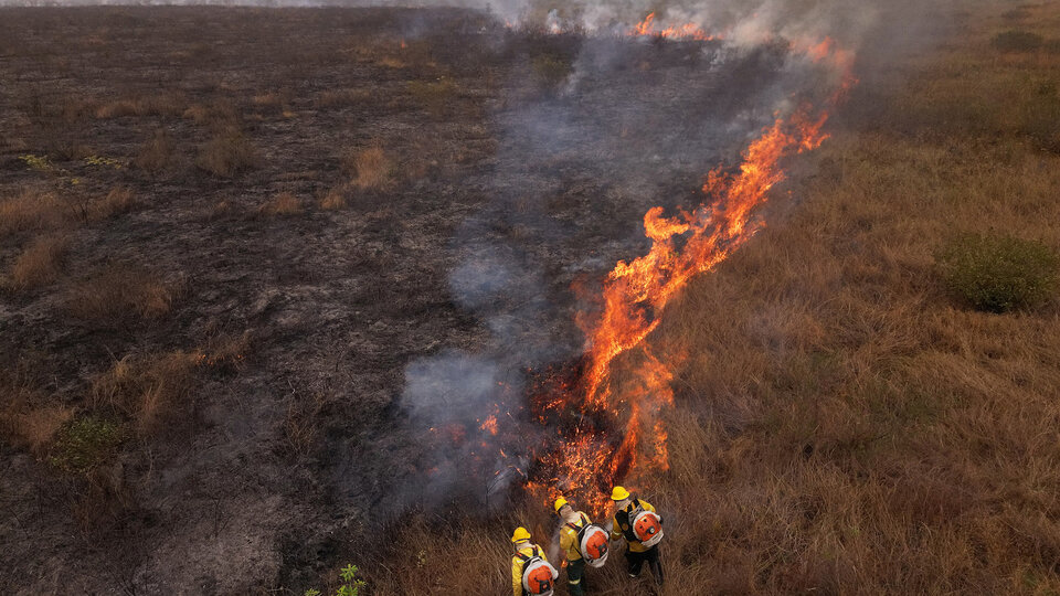 Brasil: según Lula los incendios forestales son intencionales | El presidente dijo que pdría haber un interés político en causar daño al medio ambiente