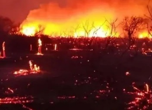 El fuego hizo destrozos en los departamentos sanjuaninos alejados: animales muertos y flora arrasada