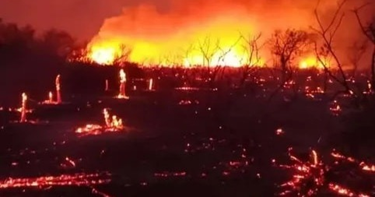 El fuego hizo destrozos en los departamentos sanjuaninos alejados: animales muertos y flora arrasada