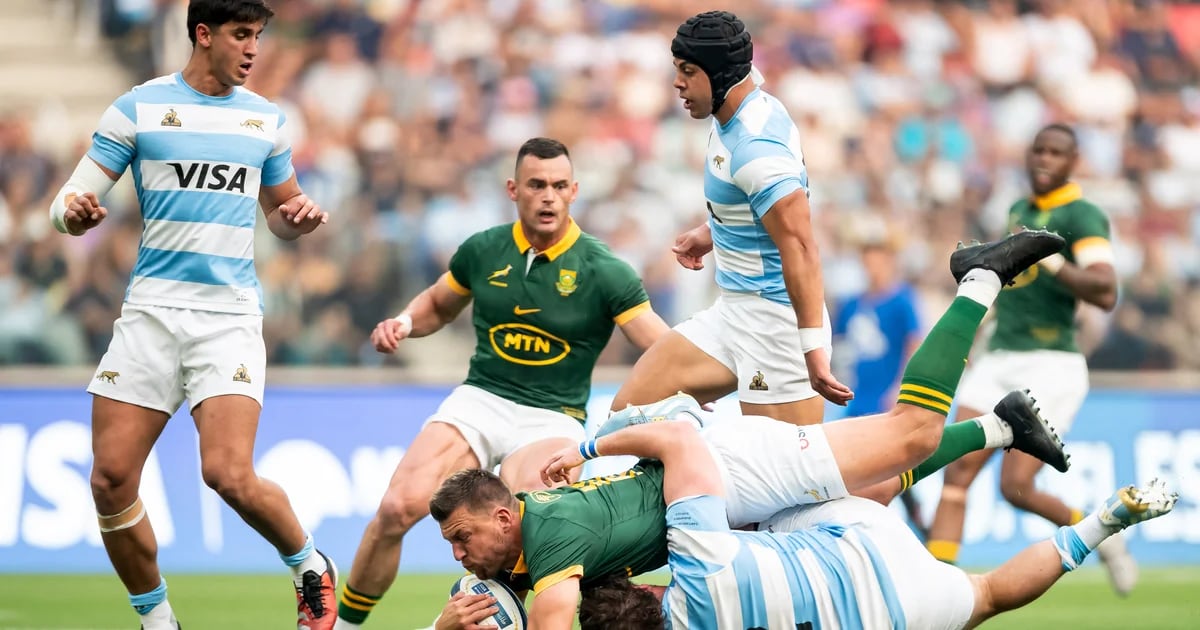 Los Pumas, a un paso de hacer historia: qué necesitan para ser campeones del Rugby Championship por primera vez