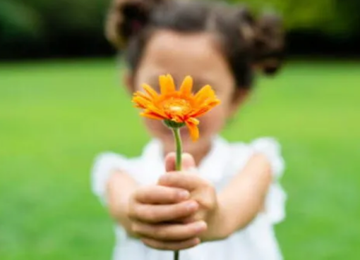 La primavera de las emociones: cómo la estación del renacimiento nos invita a renovarnos