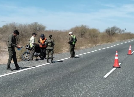 De un quirquincho muerto a 7 diucas capturadas, siguen las infracciones por el ataque a la fauna en San Juan