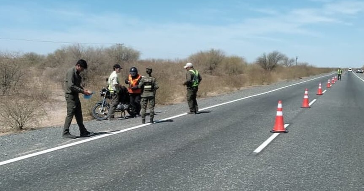 De un quirquincho muerto a 7 diucas capturadas, siguen las infracciones por el ataque a la fauna en San Juan