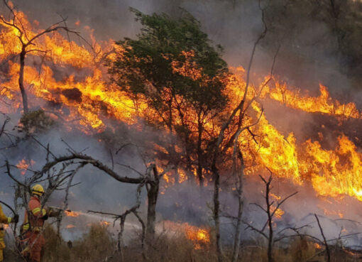 La escandalosa campaña fake del gobierno sobre los incendios en Córdoba a la que se subió Milei  | El uso de un drama para atacar a la oposición