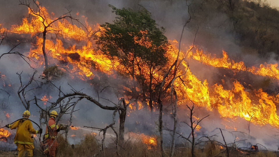 La escandalosa campaña fake del gobierno sobre los incendios en Córdoba a la que se subió Milei  | El uso de un drama para atacar a la oposición