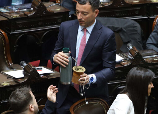 Piden acelerar la expulsión de los diputados radicales “con peluca” | Tras acompañar el ajuste a los jubilados y las universidades públicas