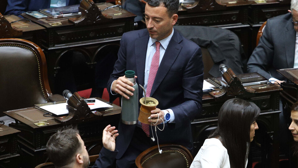 Piden acelerar la expulsión de los diputados radicales “con peluca” | Tras acompañar el ajuste a los jubilados y las universidades públicas