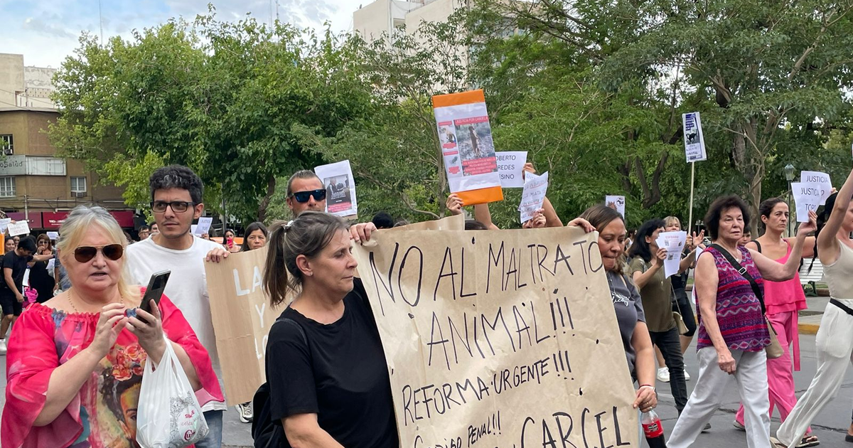 Multitudinaria marcha por “Topito”, el perro asesinado en Chimbas