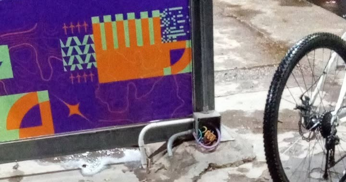 Revuelo por un perrito que sufrió una descarga eléctrica en una plaza sanjuanina