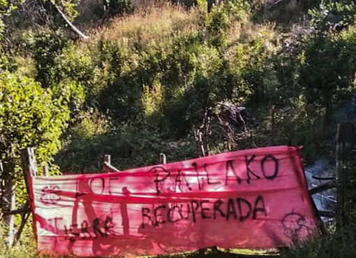 Inminente desalojo indígena en el sur | El juez Otranto intimó a Lof Pailako a dejar el Parque Nacional Los Alerces