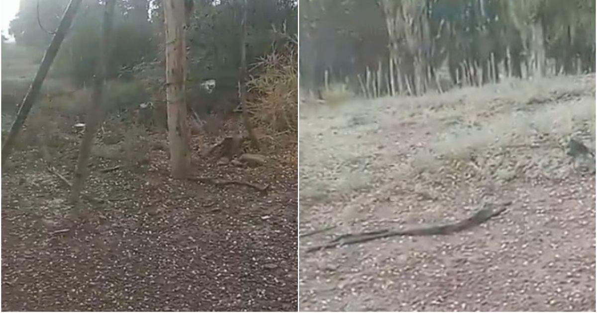 ¡El granizo regresó a San Juan! El video de la lluvia y la piedra en el Norte de la provincia