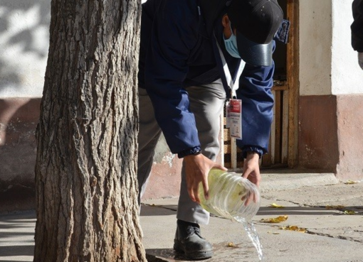 Ante las lluvias diarias, seis de cada diez sanjuaninos aplican medidas para evitar el mosquito del dengue