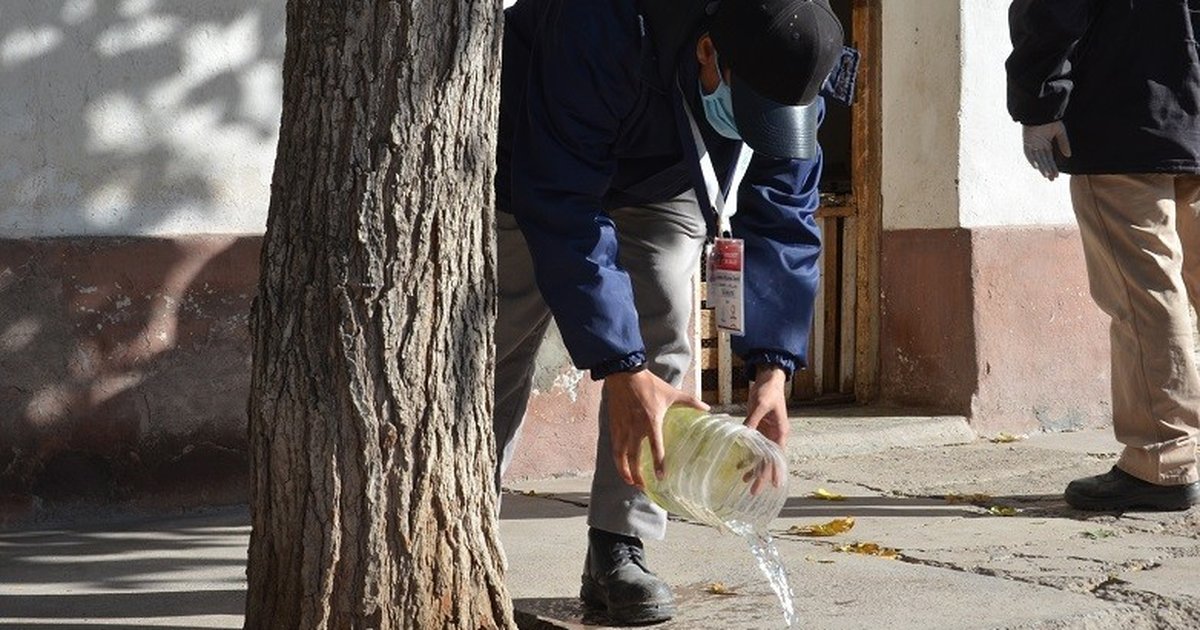 Ante las lluvias diarias, seis de cada diez sanjuaninos aplican medidas para evitar el mosquito del dengue