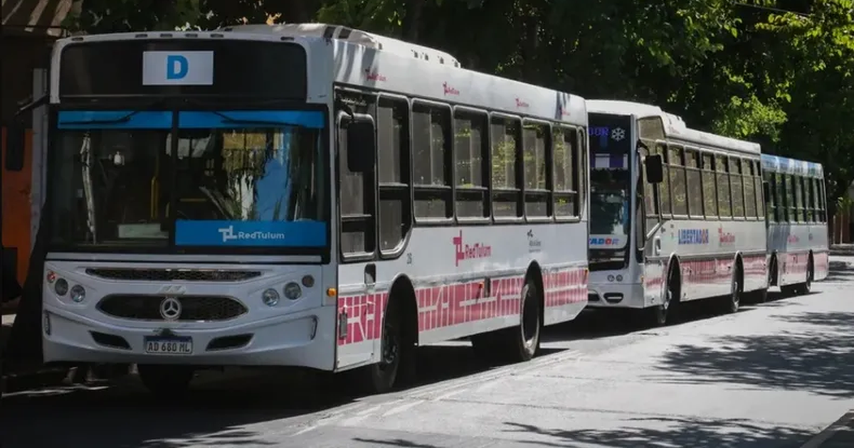 En San Juan, cambiarán en recorrido de casi 30 colectivos por un día