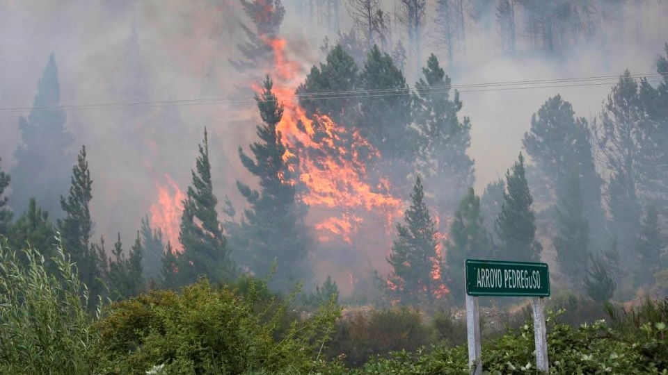 Ignacio Torres “resucitó” a la RAM y la responsabilizó por los incendios en Epuyén | “Los mismos delincuentes de siempre”