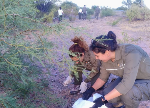 Semillas, un trabajo de hormiga que conjuga el cuidado de los bosques sanjuaninos y el sustento de sus vecinos