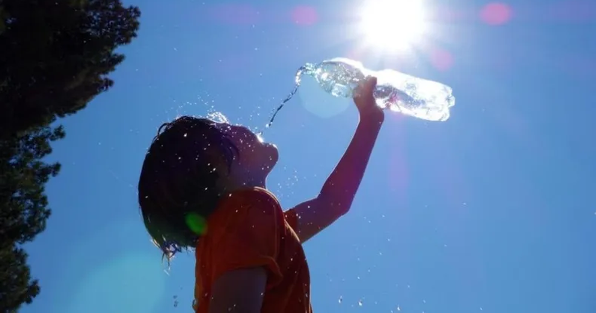 Ola de calor extrema en San Juan: dicen que la temperatura quedará a pasitos de la máxima histórica