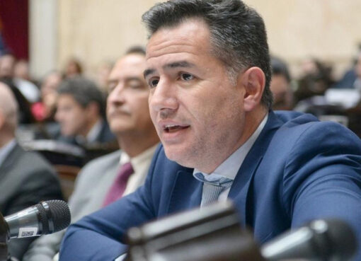 El oficialismo admite que no será sencilla la suspensión de las PASO en el Senado | “La veo un poco más complicada”, dijo Gabriel Bornoroni