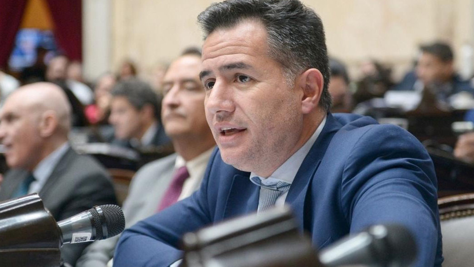 El oficialismo admite que no será sencilla la suspensión de las PASO en el Senado | “La veo un poco más complicada”, dijo Gabriel Bornoroni