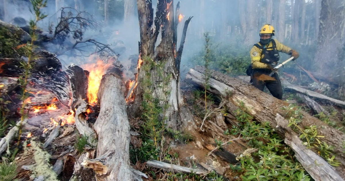 La intensa lucha de bomberos sanjuaninos para combatir el fuego en Río Negro