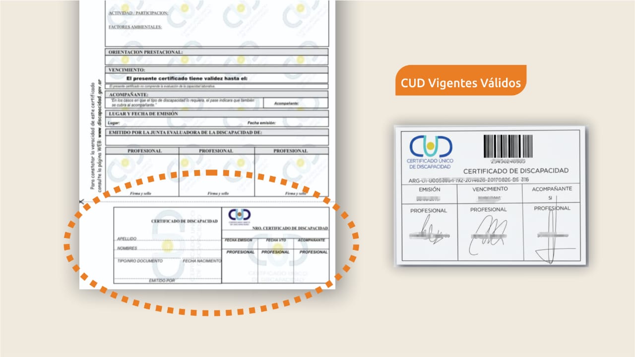 Simplemente con el CUD viajarán gratis las personas con discapacidad en SJ