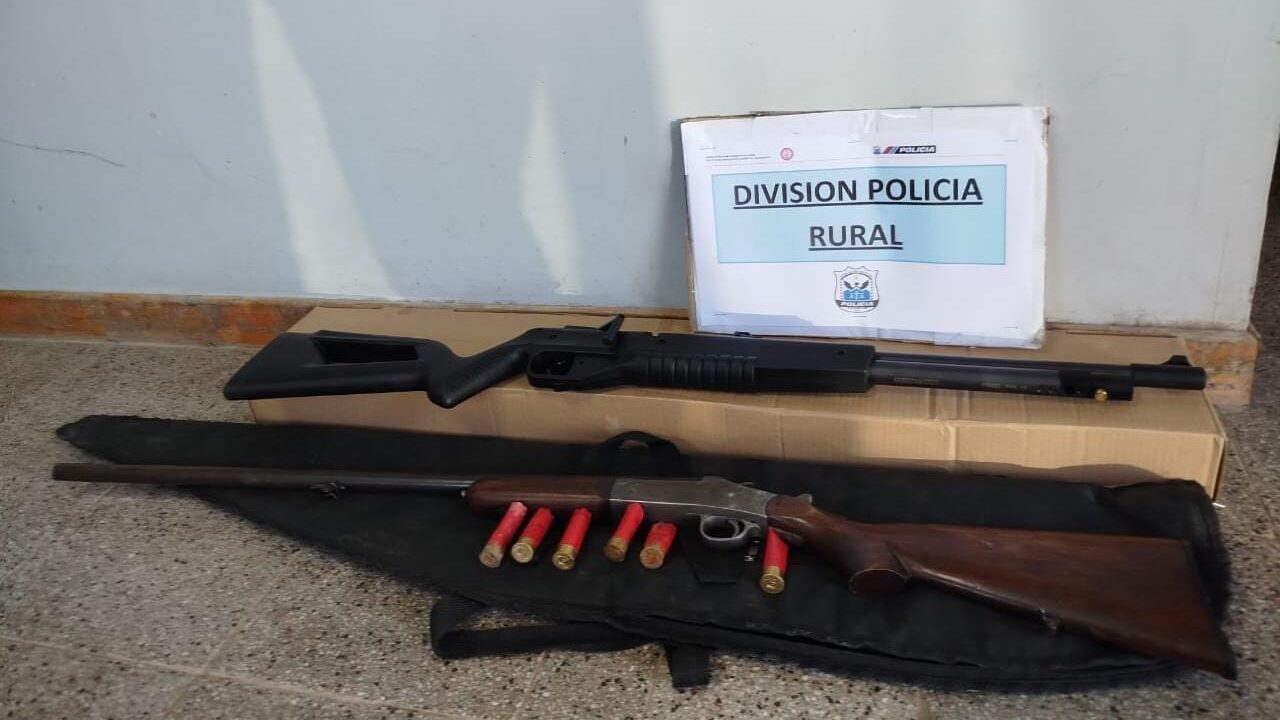 Armas Ilegales en San Martín San Juan