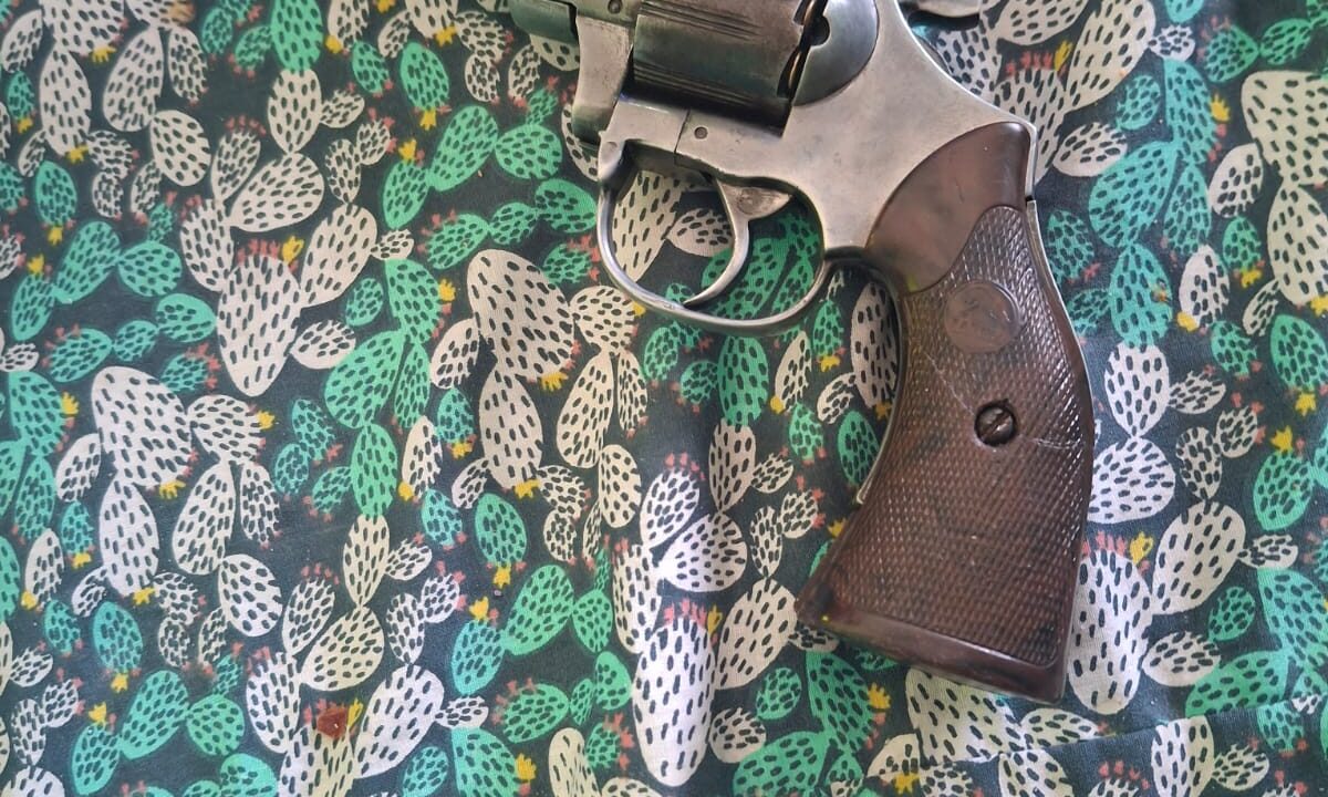 Gilda Moran detenida por tenencia ilegal de armas de fuego